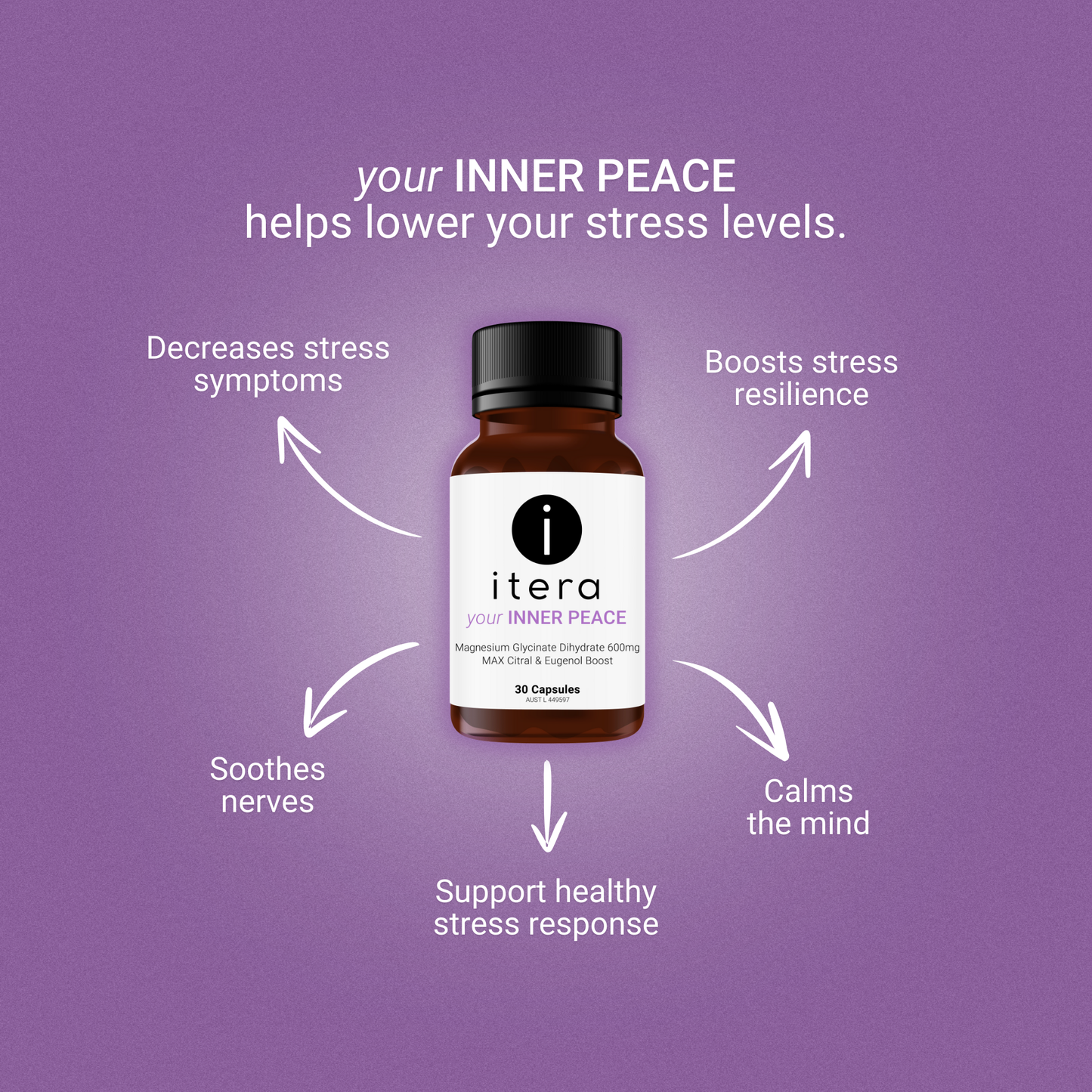 your Everyday Wellness Bundle
