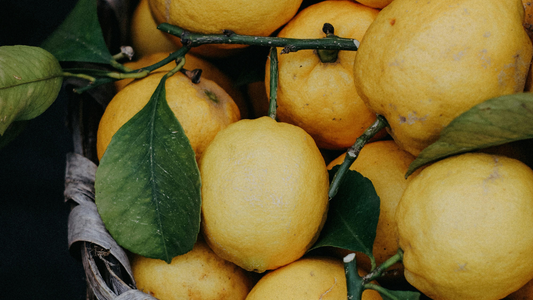 Limonene: The Zesty Terpene with Surprising Benefits