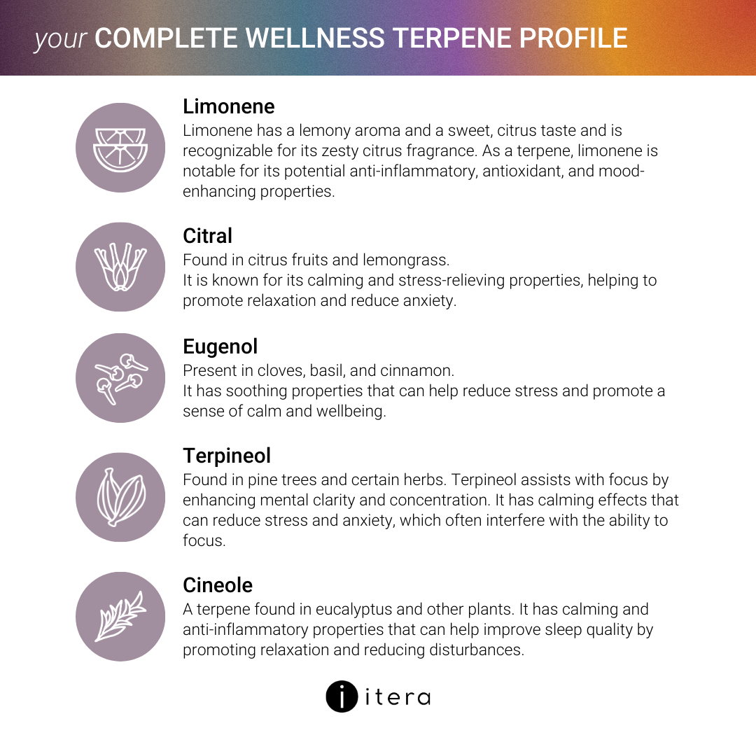 your Complete Wellness Bundle